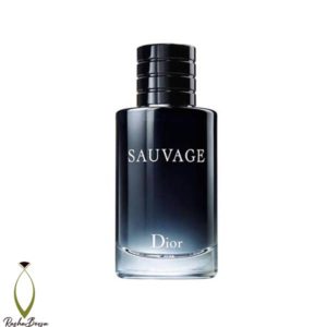 ادوپرفیوم مردانه ساواج دیور EDP Sauvage Dior